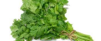Dhania