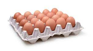 [203] Eggs