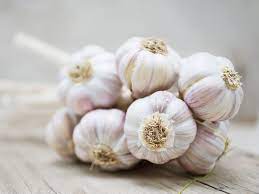 [1427] Garlic